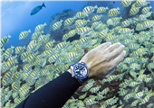 Ulysse Nardin | 雅典表敬赞奇妙的海底世界，与海洋挚友自由潜水